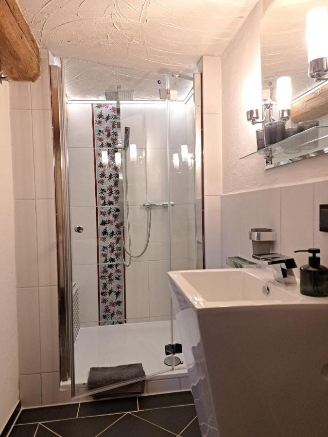 Auengut-Bertsdorf Apartman Kültér fotó